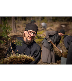 Валаамский монастырь начал программу по оздоровлению лесных насаждений архипелага