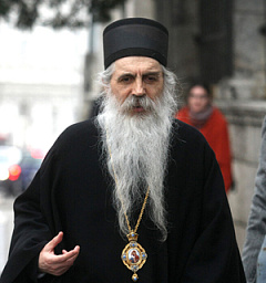 Епископ Бачский Ириней: Тема автокефалии — единственная, которая требовалась для Всеправославного Собора