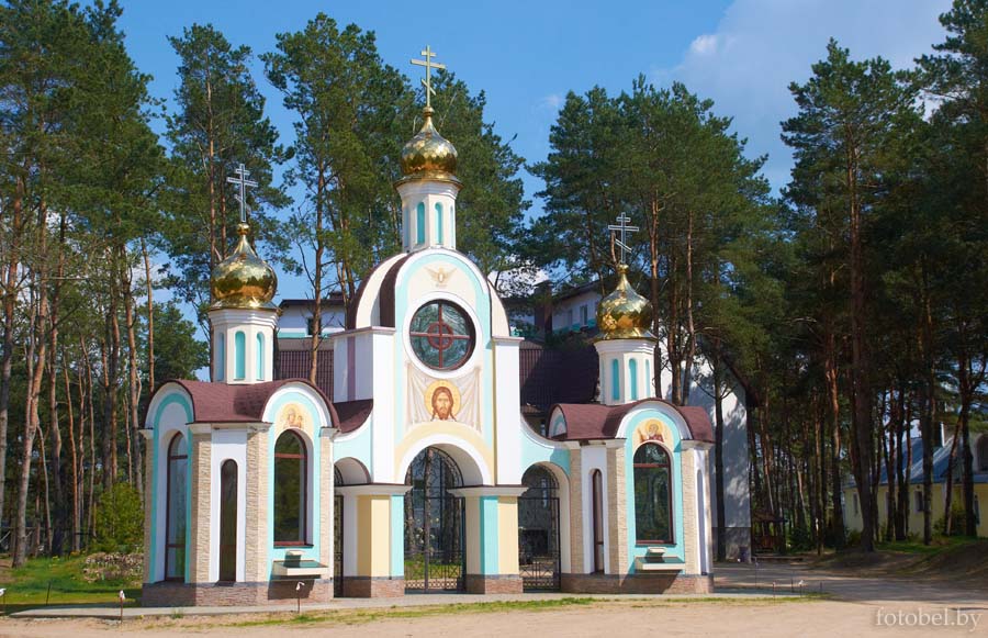  Свято-Елисеевский Лавришевский мужской монастырь, д. Гнесичи